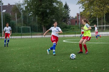 Bild 27 - C-Juniorinnen HSV - Walddoerfer : Ergebnis: 9:1